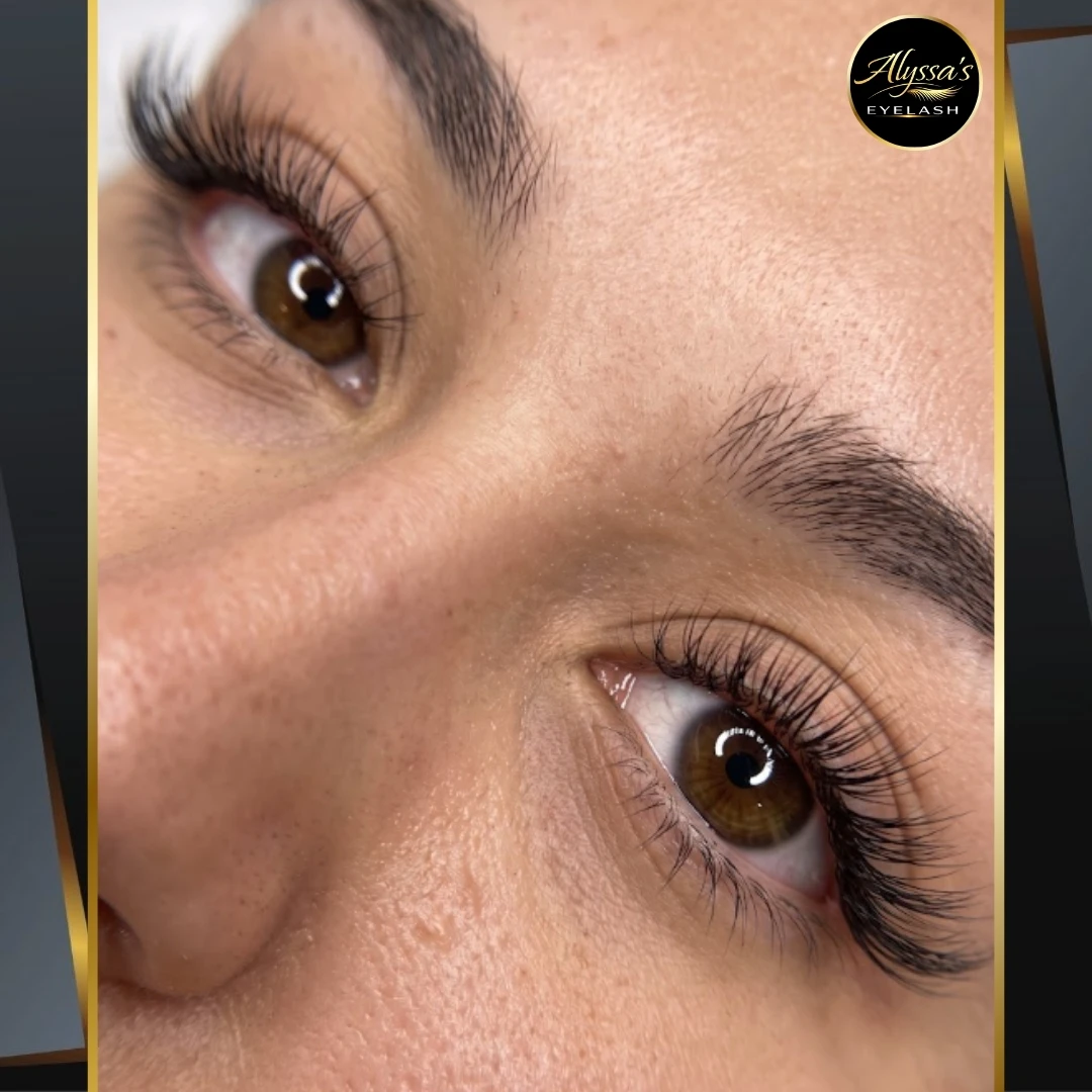 Lash Sep 24